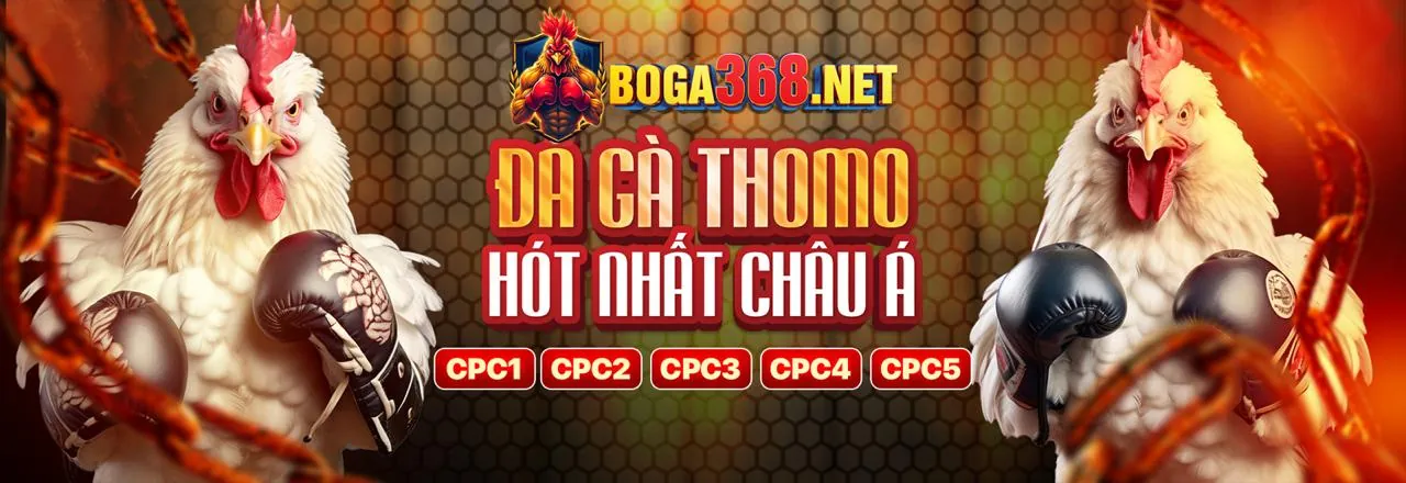 Hình ảnh chính trang blog onbet88 win