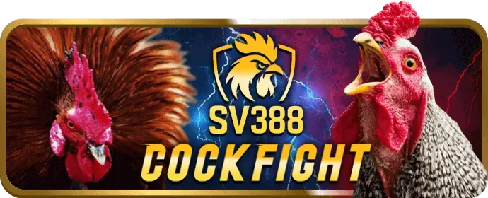 Các chương trình khuyến mãi và ưu đãi của onbet88 win